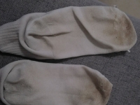 【ATM提款机网课】白给上贡连着几天来白给下贱