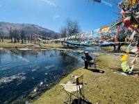 上海可约，可单，双S