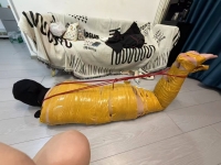 绝望中的木乃伊