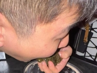 上海，深圳，精牛人厕体验