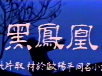 [中国内地][1991][黑凤凰][祝延平][国语无字][MP4/3.22G][绝版录...