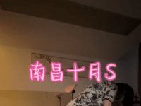 南昌十月爆菊花28分