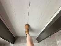 （网）废物小绿帽 你的小jb就只有这么大点么