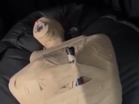 全包暴菊达到前高