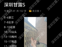 8月巡游路线已开启