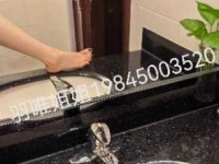 广州的贱狗在哪里呀