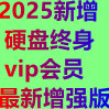 硬终vip增强版